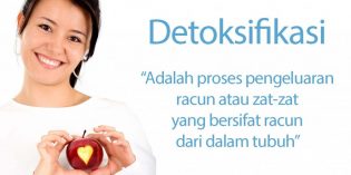 APA ITU DETOX? APA ITU DETOX?